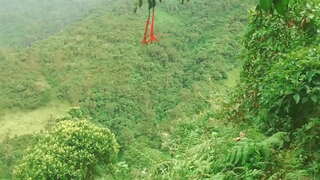 Колумбийки урманда лижут бер-берсенә телләре һәм трахаются белән незнакомцами бу алмашу өчен финанс ярдәм күрсәтә.