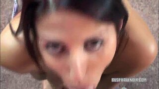 Валенттүү лаванда, дающая бир аз взбодриться удачливому выродку