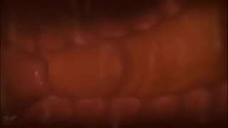 Cumming inne i livmoren